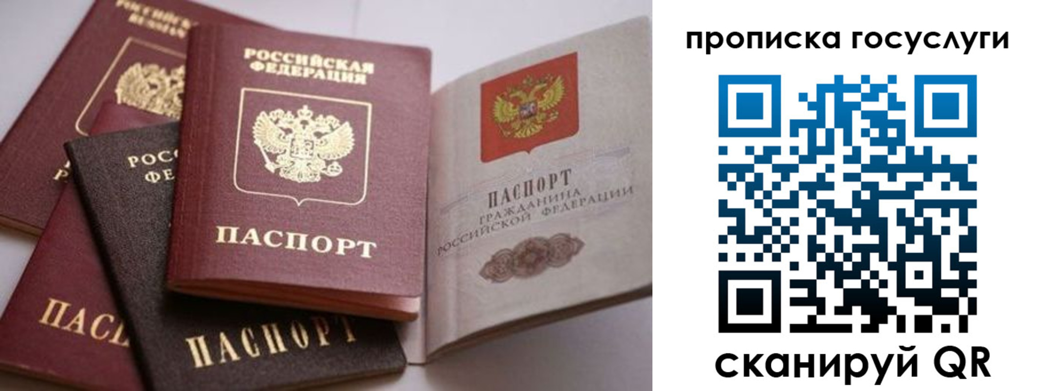 прописка штамп в Новомичуринске